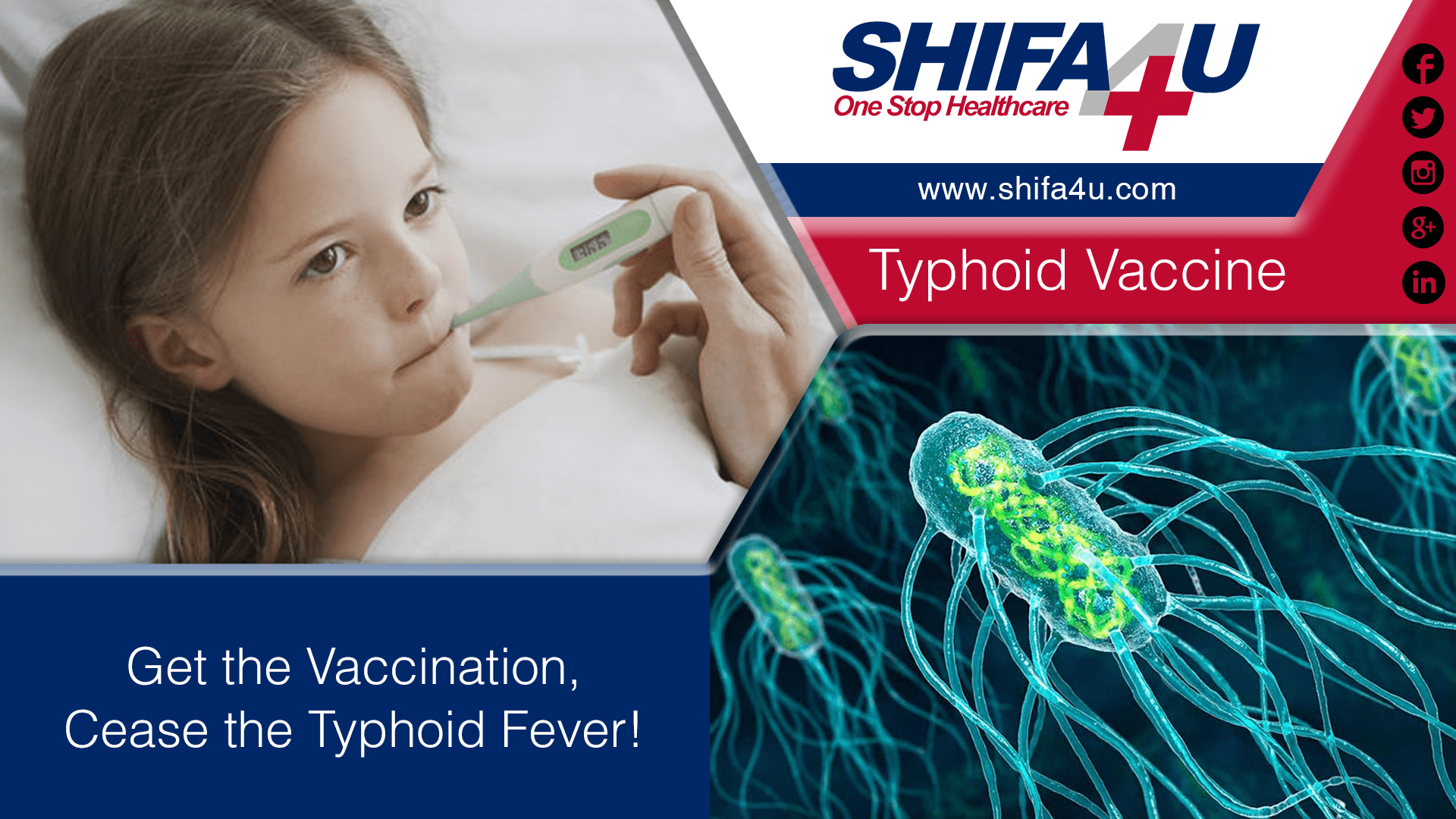 Вианвак вакцина. Typhoid vaccine. Вакцина сыпнотифозная химическая сухая. Брюшной тиф вакцина. Вианвак.